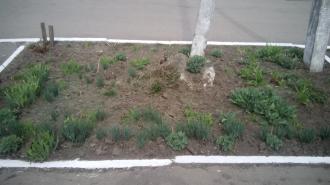 /Files/images/Изображение 012.jpg