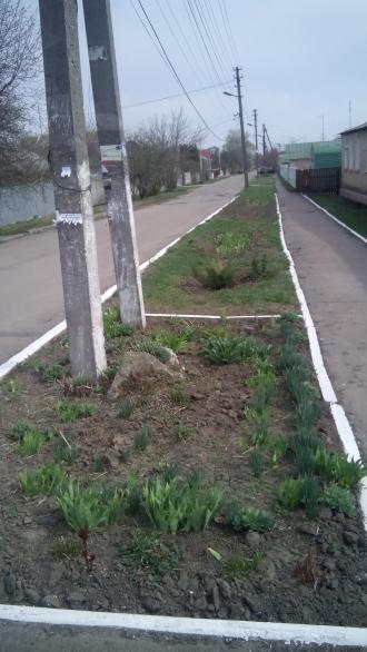 /Files/images/Изображение 046.jpg